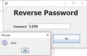 java password