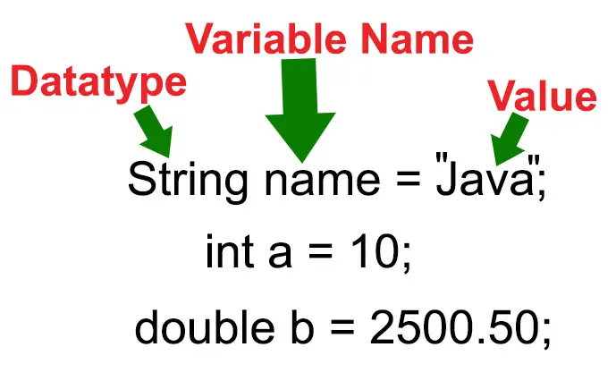 Variables in Java - Tutusfunny