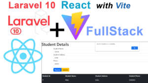 laravel 10 react vite